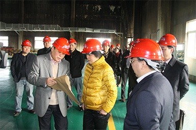 2012年1月31日，时任黄冈市委书记鲁俊携带市发改委等市级部门掌管人到公司调研