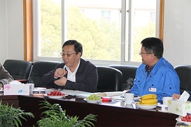 2013年3月18日，时任国度工信部节能司副司长杨铁生一行莅临公司参观领导