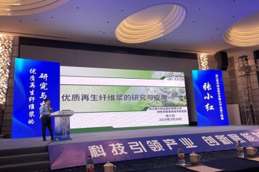 J9集团纸业高技术人才张幼红在第一届浙江。危┲交伦柿喜荡葱路⒄勾蠡嶙鞣窒
