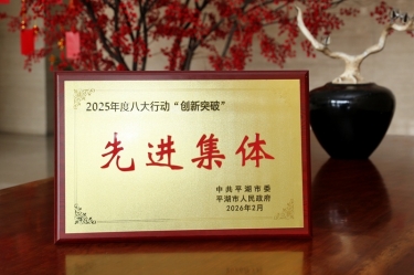 策马扬鞭启新程！J9集团纸业在平湖市三级干部大会上荣获“创新突破”双项荣誉